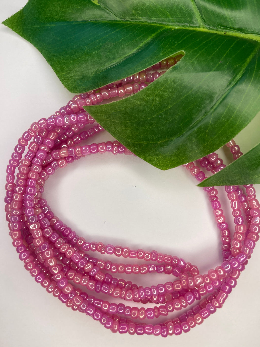 Solid Color Seadbead Waistbeads