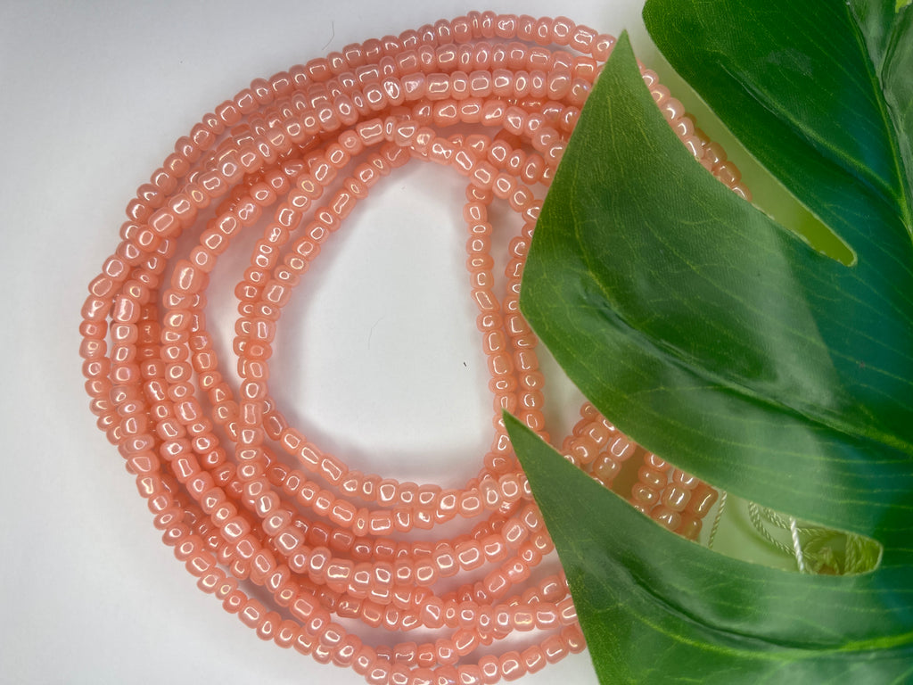 Solid Color Seadbead Waistbeads