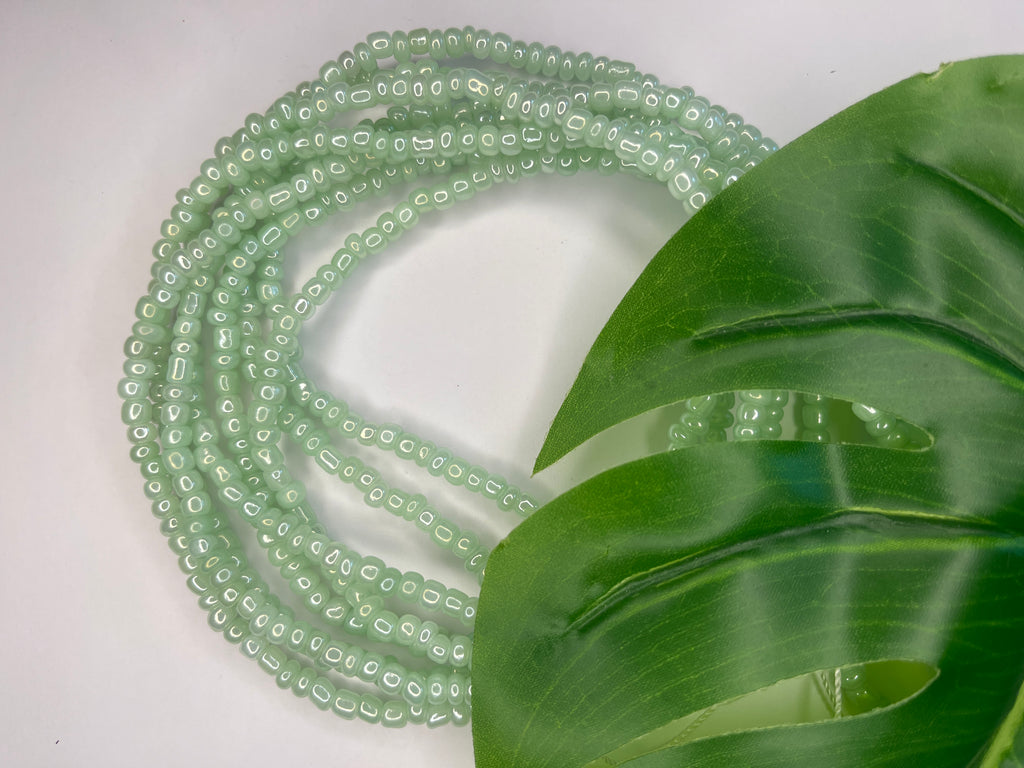 Solid Color Seadbead Waistbeads